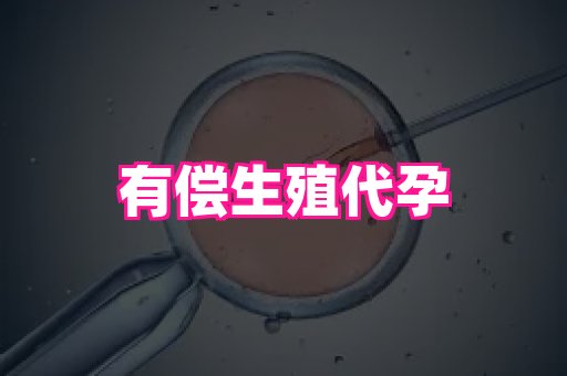 福建助孕网 2