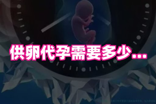 福建助孕网 3